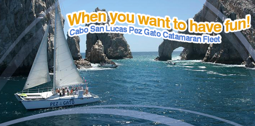 Cruises and Whale watching